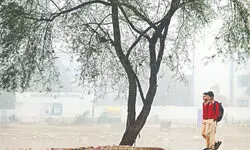 Capital’s temp dips at start of February