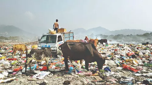 Torsa River pollution sparks alarm in Alipurduar’s Jaigaon