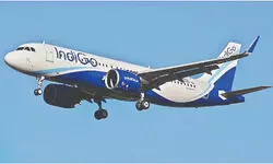 ‘Unfair biz practices’: CCI orders detailed probe against IndiGo