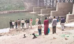 Fish found dead along 4-km stretch of Karala