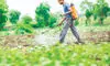 Only 86 pesticide formulations in 34 years: Parliamentary Committee raps IPFT