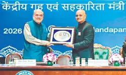 Cyber theft, data misuse by anti-nat’l forces on rise: Shah