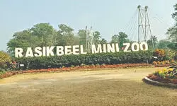 Rasik Beel Mini Zoo set for major upgrade, Royal Bengal Tiger among new attractions