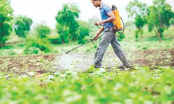 Only 86 pesticide formulations in 34 years: Parliamentary Committee raps IPFT