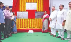 “SUPER SOLAR POLICY BRINGS NEW LIGHT TO FARMERS’ FUTURES”