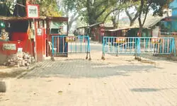 B’desh polls: Security beefed up along Indo-Bangla border