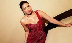 I was just trying to survive: Priyanka Chopra Jonas I was just trying to survive: Priyanka Chopra Jonas