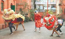 Kolkata rings in ‘Year of the Fire Horse’ with festive fervour Kolkata rings in ‘Year of the Fire Horse’ with festive fervour