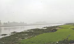 Revenue evasion alleged in fish farming at Harirampur’s Gourdighi and Maliyandighi Revenue evasion alleged in fish farming at Harirampur’s Gourdighi and Maliyandighi