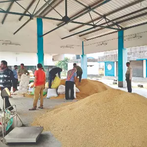 State orders special drive to verify foodgrain stocks State orders special drive to verify foodgrain stocks