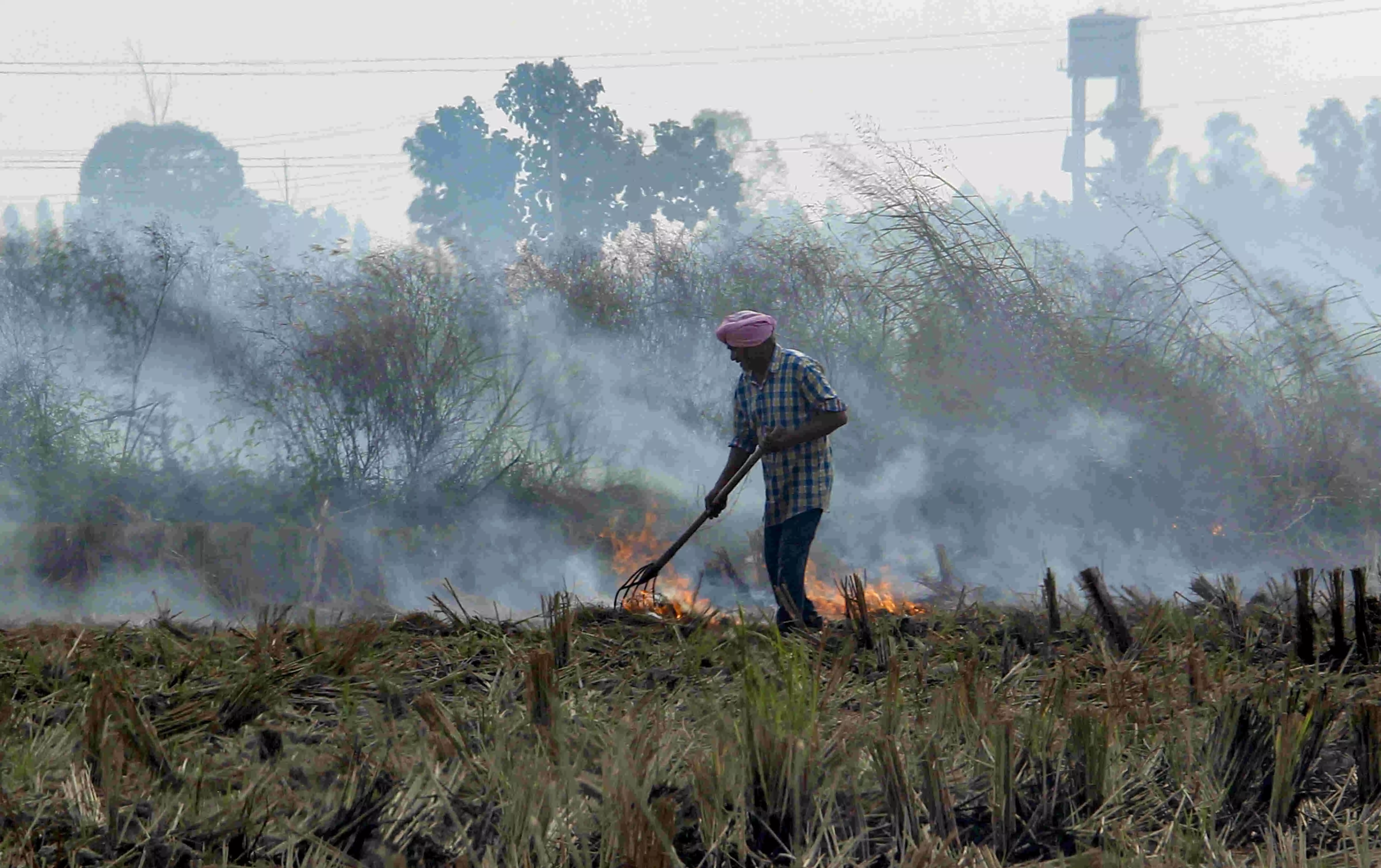 Subsidies, incentives of over 1,800 farmers blocked in Bihar for stubble burning Subsidies, incentives of over 1,800 farmers blocked in Bihar for stubble burning