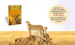 A Child’s Call to Save the Cheetah