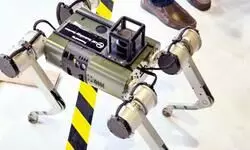 After early controversy. India-made robots shine at AI Impact Summit 2026