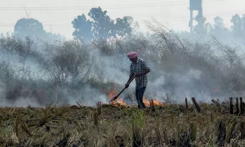 Subsidies, incentives of over 1,800 farmers blocked in Bihar for stubble burning