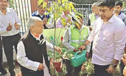 EkPedMaaKeNaam: NDMC green push in Kidwai Nagar