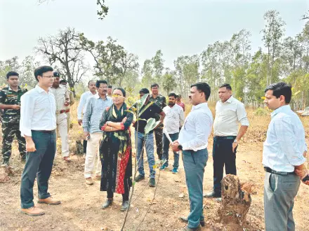 Jhargram: State completes habitat work to curb human-jumbo conflict Jhargram: State completes habitat work to curb human-jumbo conflict