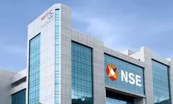 Regulation Without Precision