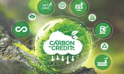 Decarbonising Through Markets