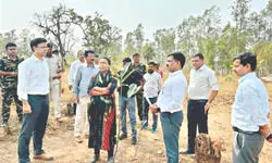 Jhargram: State completes habitat work to curb human-jumbo conflict