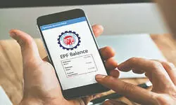Over 7 lakh inactive PF accounts holding up to Rs 1,000 to be settled soon Over 7 lakh inactive PF accounts holding up to Rs 1,000 to be settled soon
