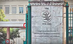 India’s 8th Trade Policy Review at WTO to take place in July India’s 8th Trade Policy Review at WTO to take place in July