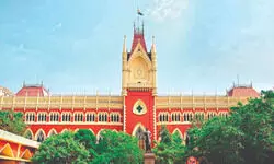 Trademark extends to product shape: Cal HC in ‘Harpic’ dispute