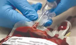 Malda intensifies HIV screening,   over 3K patients under treatment