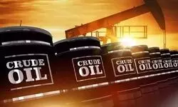 Amid turmoil, India has 8-week oil buffer; Stocks total over 250 mn barrels