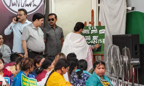 Mamata paints SIR and Vanish at dharna stage, turns to art to protest voter roll revision