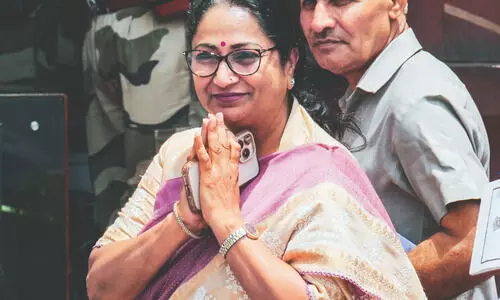 Delhi govt explores ‘Green Budget’ to tackle pollution