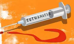 In landmark first, SC allows passive euthanasia for 32-year-old man in coma for over 12 years