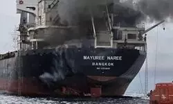 Cargo ship Mayuree Naree sailing to India attacked in Strait of Hormuz: Thai navy