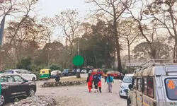 LPG shortage casts shadow on north Bengal tourism industry