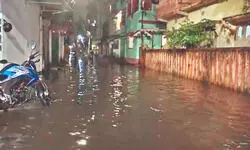 Heavy rain causes waterlogging in Siliguri, Jalpaiguri; More showers ahead
