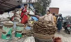 LPG shortage turns back the clock: Coal, stoves & dung cakes make comeback