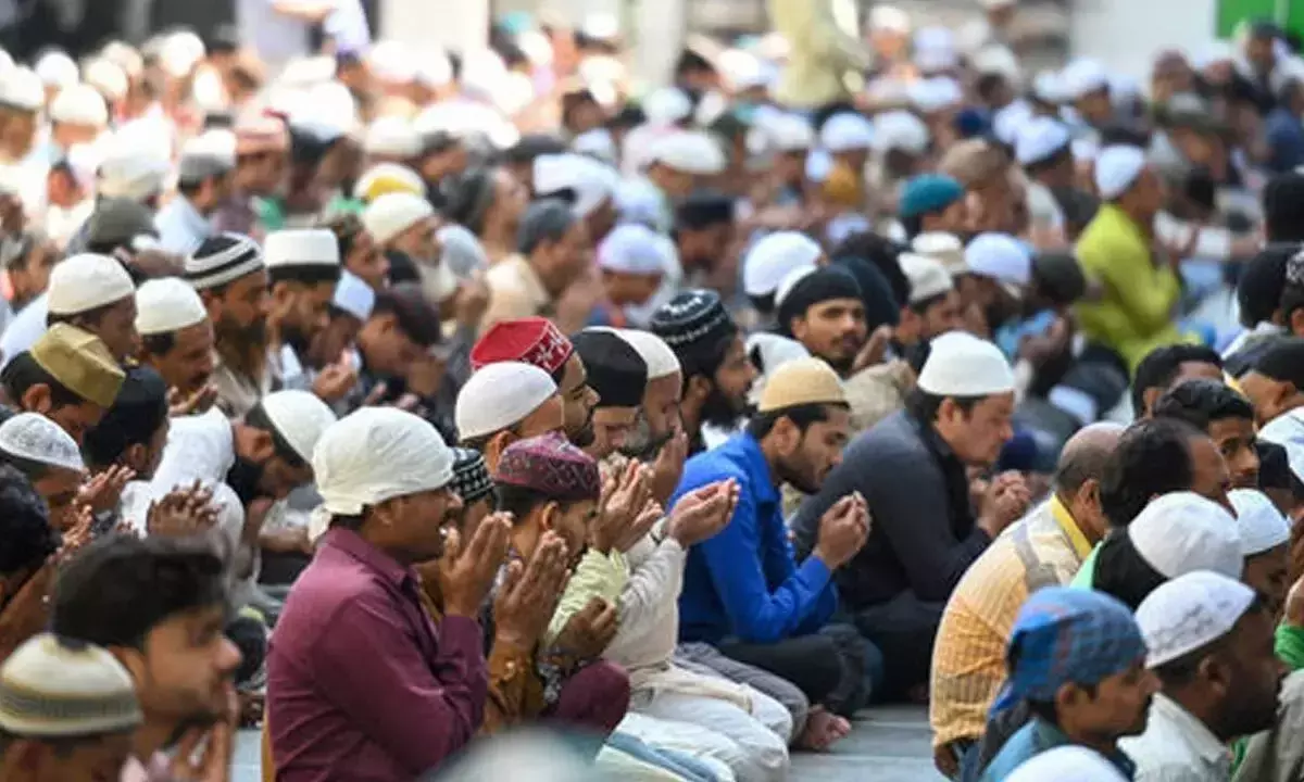 ‘Resign if incapable’: Allahabad HC to Sambhal SP, DM on limiting number of people in mosque