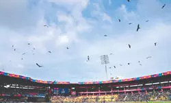 Chinnaswamy Stadium cleared  to host IPL games, and final