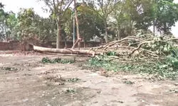 Nor’wester causes widespread damage in Malda; Rain to continue