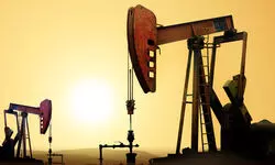 India to prioritise domestic fuel demand amid supply requests from neighbours