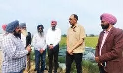 PMMSY gains traction in Punjab, Centre reviews progress in Jalandhar PMMSY gains traction in Punjab, Centre reviews progress in Jalandhar