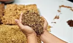 India’s Tobacco Blind Spot?