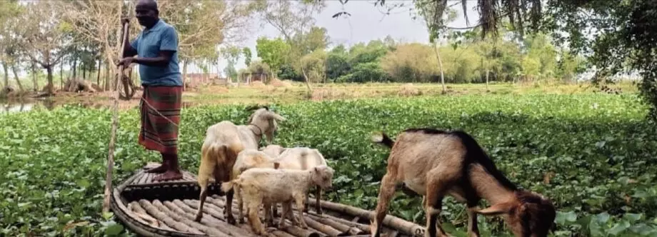 Bridge of promises: Hili villagers risk lives crossing ‘Shri’ River Bridge of promises: Hili villagers risk lives crossing ‘Shri’ River