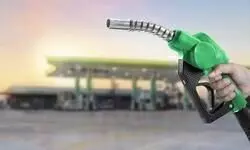 India has 60 days of fuel stocks, govt says dismissing shortage reports as misinformation India has 60 days of fuel stocks, govt says dismissing shortage reports as misinformation