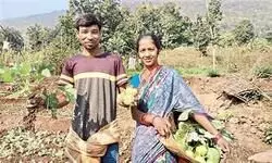 Rewriting Rural Economies Rewriting Rural Economies