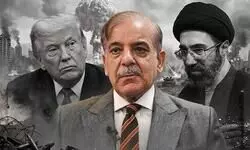 Playing Both Sides, Losing Both Playing Both Sides, Losing Both