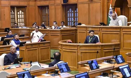 Green Budget passed in dramatic finale Green Budget passed in dramatic finale