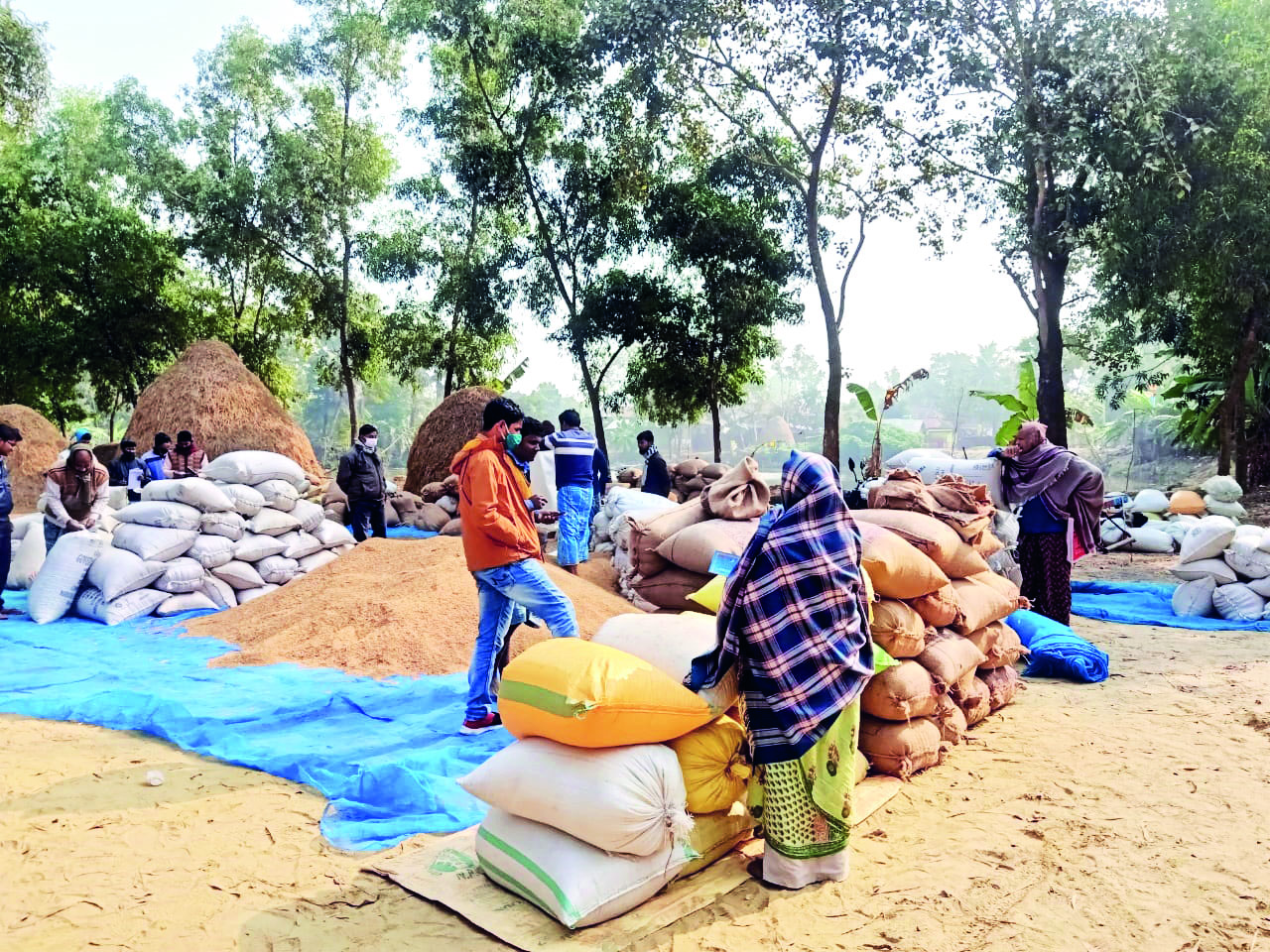 Centre warns of NFSA grain halt; 12L Bengal beneficiaries at risk after March 31 Centre warns of NFSA grain halt; 12L Bengal beneficiaries at risk after March 31