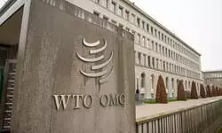WTO meet ends without consensus on e-commerce duty moratorium