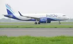 IndiGo appoints William Walsh as new CEO IndiGo appoints William Walsh as new CEO