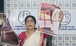 ‘BJP cadres caught with over 400 fake Form 6 applications by BLOs’